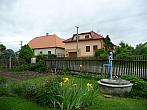 Třibřichy